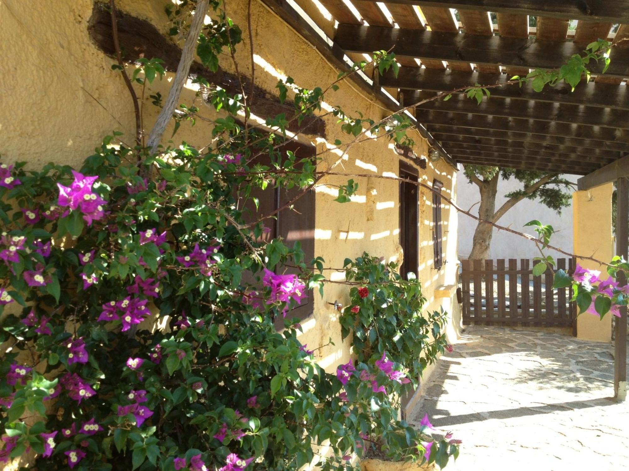 Koutsounari Traditional Cottages Buitenkant foto